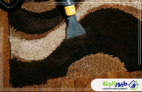 تنظيف مكيفات في دبي 0566909564 شركة طيور الجنة احمِ عائلتك مع خدمة تنظيف مكيفات في دبي. تعقيم كامل وإزالة للرواسب لضمان تدفق هواء منعش دائماً.