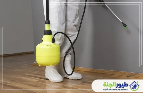 احمِ منزلك مع ارخص شركة مكافحة حشرات في ابوظبي. نستخدم أقوى المبيدات الآمنة للقضاء على الصراصير والبق والزواحف.