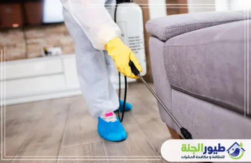 تخلص من الإزعاج فوراً مع خدمة مكافحة الصراصير في ابوظبي؛ إبادة نهائية وضمان طويل لبيئة صحية وآمنة تماماً.