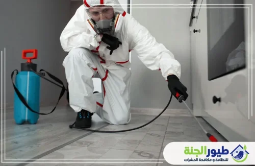 وداعاً للأبراص مع خدمة مكافحة الوزغ في ابوظبي. إبادة فورية وحماية ممتدة للمنازل والفلل بأيدي خبراء مختصين.