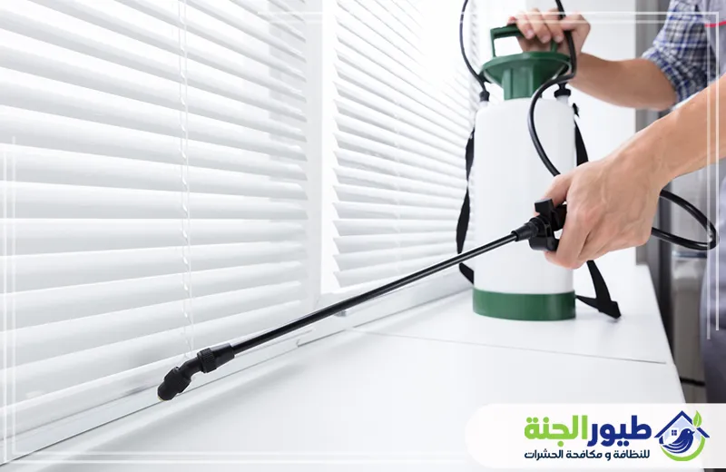 شركة مكافحة حشرات في ابوظبي