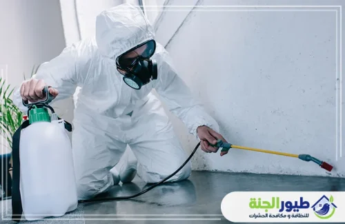 حماية منزلك أولويتنا. متخصصون في مكافحة الوزغ في الشارقة باستخدام مبيدات آمنة وفعالة.