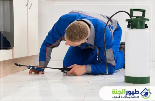 رش حشرات في الشارقة بأحدث التقنيات العالمية. منزل نظيف وخالٍ من المزعجات طوال العام.