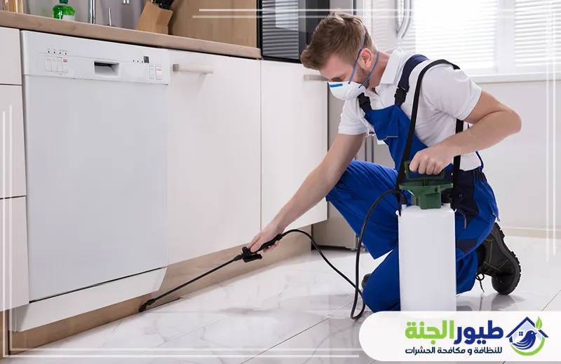 شركة مكافحة حشرات في الشارقة
