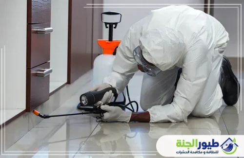 حماية شاملة لمنزلك من الآفات. متخصصون في مكافحة الفئران في الشارقة بأحدث التقنيات العالمية.