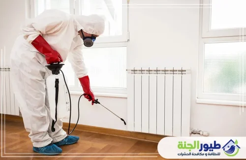 منزل نظيف وخالٍ من الزواحف مع خدمة مكافحة البرص في الشارقة. اتصل بنا الآن لراحة بال دائم.