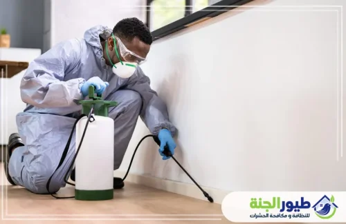 خبراء مكافحة حشرات الفراش يستخدمون تقنيات رش دقيقة للزوايا والشقوق لضمان إبادة نهائية وبيئة نوم صحية وآمنة تماماً.