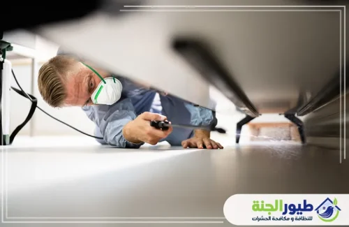 فني مختص في مكافحة حشرات بق الفراش في دبي، يفحص بدقة أسفل الأثاث لضمان منزل آمن ونظيف تماماً من الآفات.