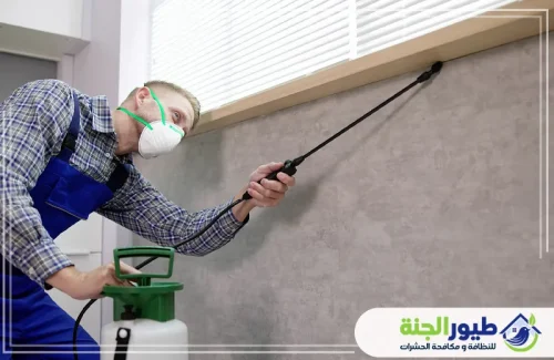 خبراء مكافحة النمل الأسود في دبي يستخدمون تقنيات رش دقيقة للزوايا والشقوق لضمان حماية تامة ومنزل نظيف من الحشرات.