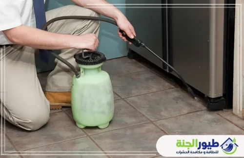 نقدم خدمة مكافحة الصراصير في العين رش دقيق للمطابخ والزوايا بمبيدات آمنة وفعالة تضمن إبادة تامة ومنع ظهورها مجدداً.