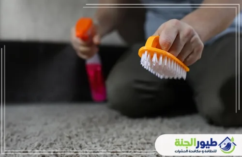 الغسيل الجاف للسجاد في العين تقنيات حديثة بفرشاة وبخاخ لإزالة البقع المستعصية بفعالية وحماية الأنسجة.