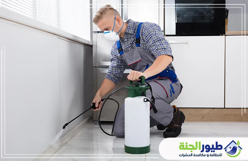 شركة مكافحة حشرات في العين