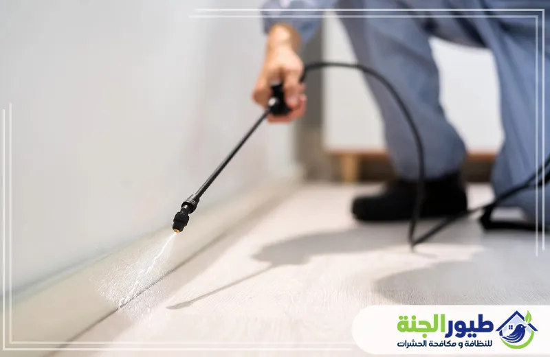 شركة مكافحة حشرات في دبي