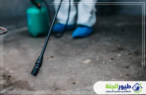 أفضل خدمات رش حشرات في دبي باستخدام آلات حديثة ومواد آمنة لضمان التخلص النهائي من كافة أنواع الآفات المنزلية بضمان.