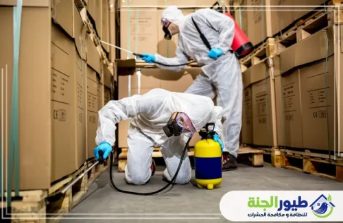 خبراء مكافحة الفئران في دبي يستخدمون أحدث التقنيات لرش المستودعات وحماية ممتلكاتكم من القوارض بفعالية وأمان.
