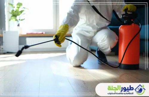 فني متخصص في مكافحة عقارب بدبي يستخدم أحدث المعدات لضمان بيئة آمنة وخالية من الحشرات الضارة بجودة عالية.