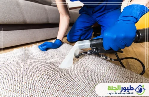 أفضل شركة تنظيف السجاد بالبخار في دبي تستخدم أحدث الماكينات لإزالة البقع الصعبة والتعقيم لضمان سجاد نظيف وصحي تماماً.