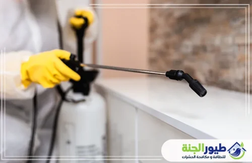 نقدم خدمة مكافحة النمل الأبيض في العين؛ رش احترافي بمبيدات آمنة وفعالة لحماية أثاثك ومنزلك من التلف.