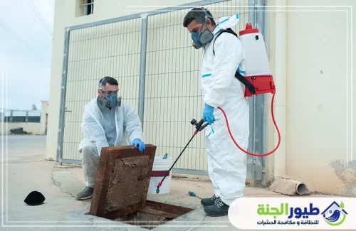 خدمة معالجة حشرات الخشب في العين فنيون مختصون لرش الأخشاب المصابة بمبيدات قوية تضمن حماية أثاثك ومنزلك من التلف.